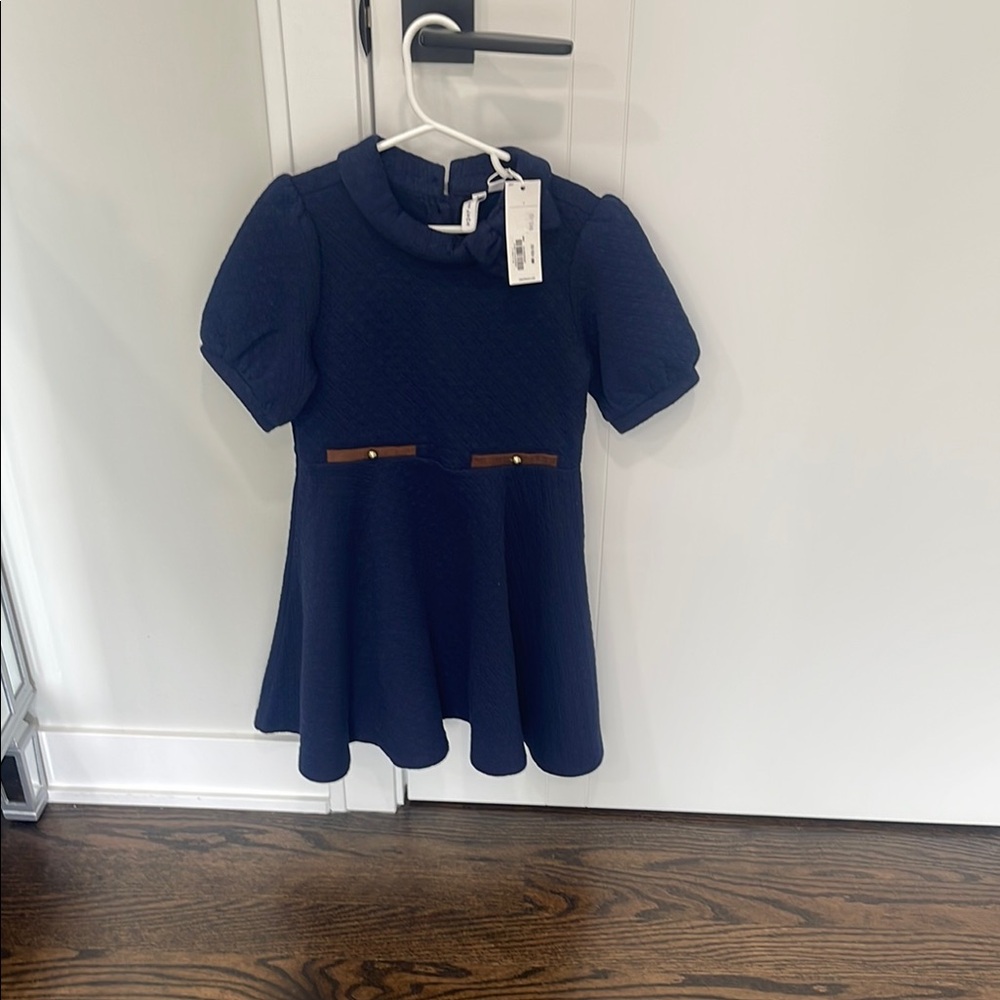 Janie and Jack Blue Fit and Flare Dress with Puff Sleeves